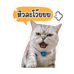 Kay_20260430112347