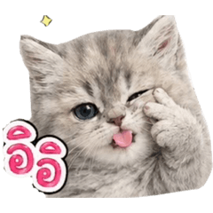 Mumu_20