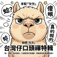 羊駝「欠欠」：台灣仔口頭禪特輯