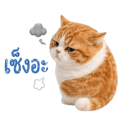 เหมียวตุ้ยนุ้ย กวนขั้นสุด 1