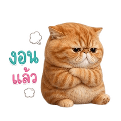 เหมียวตุ้ยนุ้ย กวนขั้นสุด 2