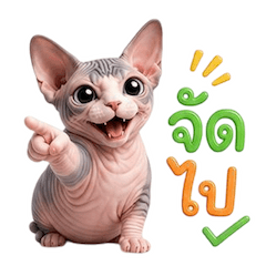 เหมียวตุ้ยนุ้ย กวนขั้นสุด 3