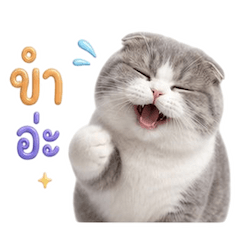 เหมียวตุ้ยนุ้ย กวนขั้นสุด 4