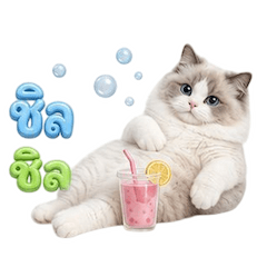 เหมียวตุ้ยนุ้ย กวนขั้นสุด 6
