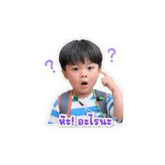 Pluemkunasin65_20260430114055