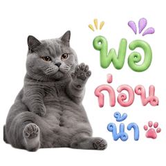เหมียวตุ้ยนุ้ย กวนขั้นสุด 5
