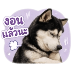 Chanakan_20260430124110