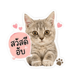 catNeon_20260430124722