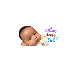 Clean_20260430124730