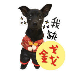 米克斯豆菲dodo&fifi