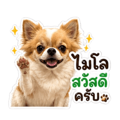Milo_20260430131558