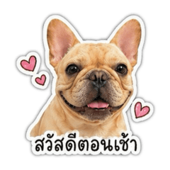 Somsrisuay