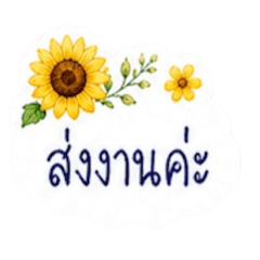 Peemai_20260430135200
