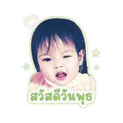 kormorpie_20260430142455