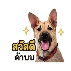 ChatMood Studio_20260430143726