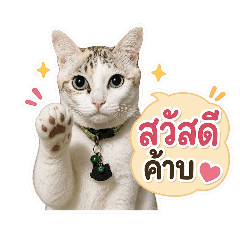 milo_20260430145429