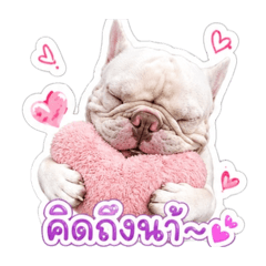 Noey_20260430143749