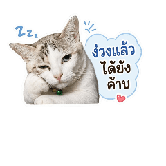 milo_20260430150210