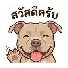 HummingBrookFrenchbulldog_20260430151052