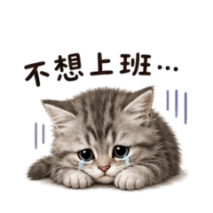 就是妹妹
