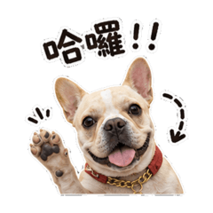帥帥の小劇場