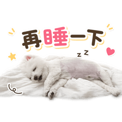 張凱翔日常篇