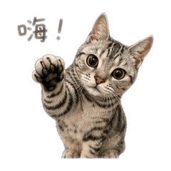 咘咘最可愛