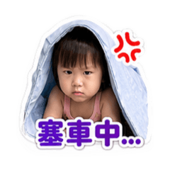 珍珠開車