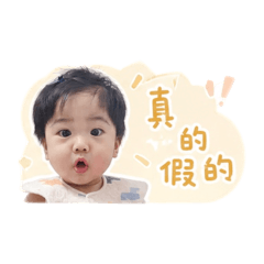 寶寶澤日常用語