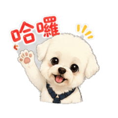 我家嘟嘟的日常用語