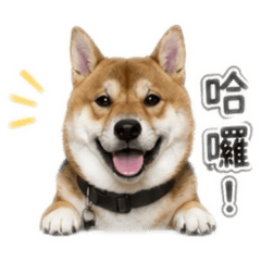 霸道總柴狗