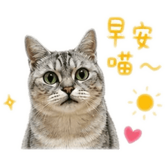 咪咪與小虎皮吉