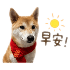 55饅頭