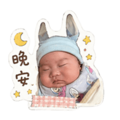 蔡小睿ㄉ八百種心情
