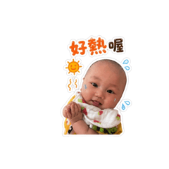 崴崴表情包❤️