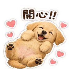 黃金獵犬布丁