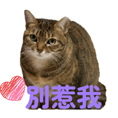 老大～吳拿鐵