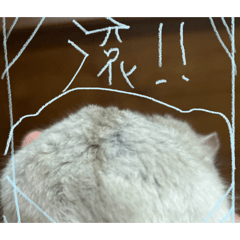 點點的退休生活～‘=’  ［超級平常］1.0！
