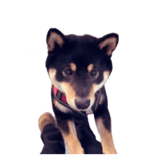泰Yo !!!!