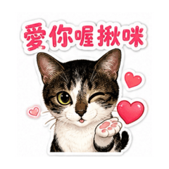 小漂亮的反擊