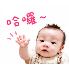 李小弟寶包
