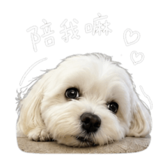 Emma寶寶