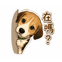 我的控肉