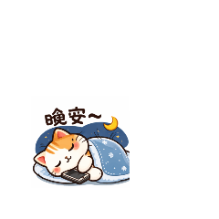 我們家的大貓