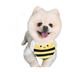 Cooper ver.1