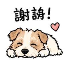 Cookie問候