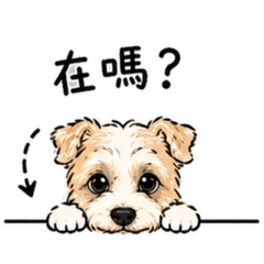 Donut的問候