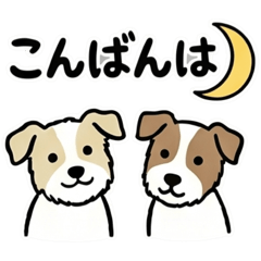 くきとどなわかわいい