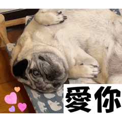 荳寶寶のhappy life
