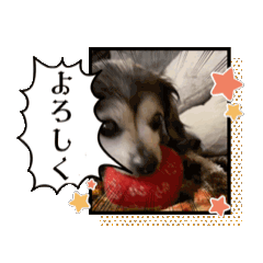 Yui_20260611212418